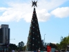 Weihnachtsbaum in der City