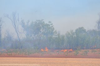 Bush fire Bush fire