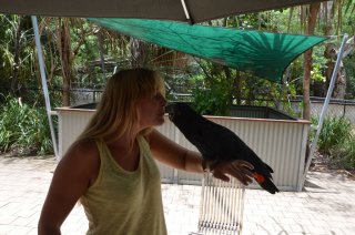 Sara küsst den Kakadu Sara küsst den Kakadu