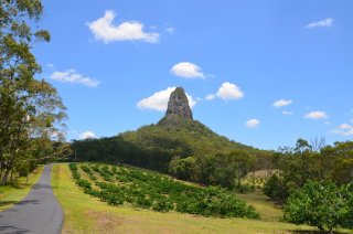Mount Coonowring Mount Coonowring