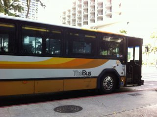 The Bus The Bus