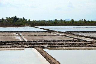 Salz Felder in Kep Salz Felder in Kep