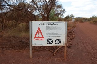 Dingo Risk Campground Dingo Risk Campground