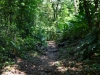 der Weg in Corcovado National Park