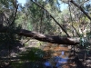 Wanderung im Flinders Ranges National Park