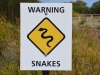 Warning Snakes!
