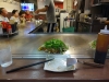Okonomiyaki zum Zweiten