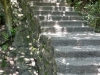 die lieben Treppen