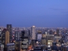 Aussicht von Umeda Sky Building