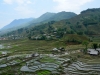 Wanderung durch die Reisfelder in Sapa