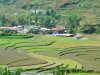 terrassierte Reisfelder wo man schaut