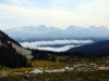 Aussicht vom Whistler Mountain